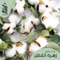 « زيت عطري زهرة القطن»