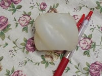 «قوالب مستعملة»