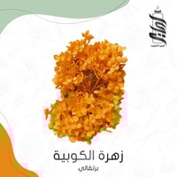 «زهرة الكوبية برتقالي»