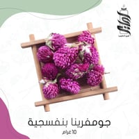 « جومفرينا البنفسجية»