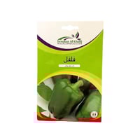 بذور فلفل رومي أخضر