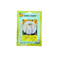 بذور قرع كونيكت فيلد