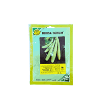 بذور قثاء تركية