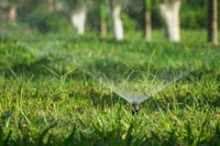 إشتراك 6 أشهر لصيانة الحديقة