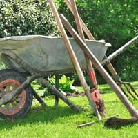 إشتراك سنوي لصيانة الحديقة