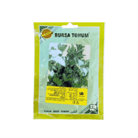 بذور بقدونس تركية