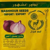 بذور بصل أحمر