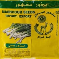 بذور بصل اخضر