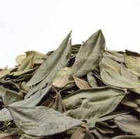 ورق الأس 100ج