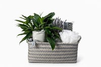 سلة نفحات رمضان الفاخرة