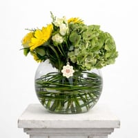 البهجة و الامتنان