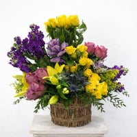 شموخ الطبيعة