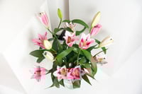 مزهرية ليلييوم الوردي