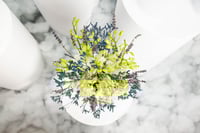 مزهرية أوركيديا