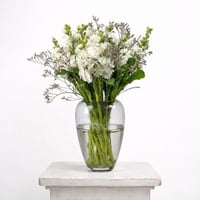 الأثير الأنيق