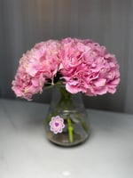 مزهرية إيلان