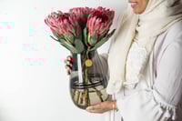 مزهرية جمال البروتيا