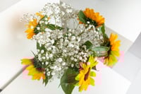 مزهرية دوار الشمس