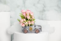 سيارة البيبي روز