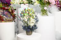 مزهرية أوركيديا