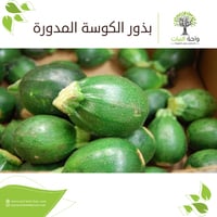 بذور الكوسة المدورة (بذرتين)