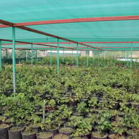 شبك الجزيرة 3×50×60%