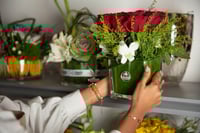 مزهرية ربيع القلب