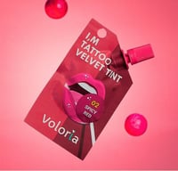 تنت فيلفت مورد من فولوريا - سبايسي ريد رقم 02