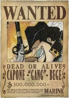WANTED - A4 (15)