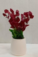 حوض بلاستيك ورد الارتفاع 50 سم العرض 25 سم