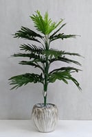 شجرة نخلة مع مركن سيراميك الارتفاع 80 سم العرض 35...