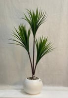 مركن ورق الصبار الارتفاع 105 سم العرض 40 سم