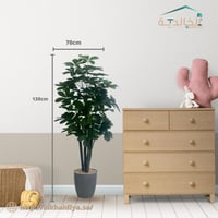 رصاصي