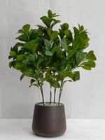 اشجار صناعية شجر ارتفاع 70 سم العرض 30 سم