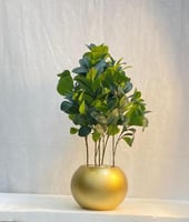 مركن اصيص شتلة ارتفاع 70 سم العرض 30 سم