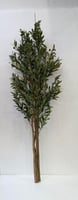 شجرة صناعية ورق زيتون خام الارتفاع 200 سم العرض 50...