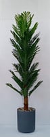 اشجار صناعية نخلة ارتفاع 200 سم العرض 60 سم