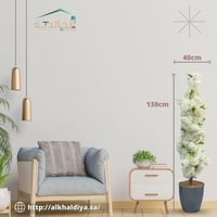 رصاصي