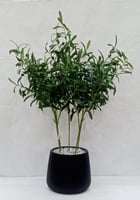 اشجار صناعية حوض بلاستيك زيتون ارتفاع 92 سم العرض...