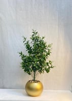 مركن اصيص شتلة ارتفاع 85 سم العرض 30 سم