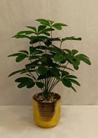 سيراميك نجمة الارتفاع 70 سم العرض 40 سم