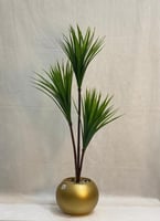 مركن ورق الصبار الارتفاع 105 سم العرض 40 سم