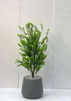 حوض بلاستيك شتلة ارتفاع 95 سم العرض 40 سم