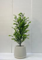 حوض بلاستيك شتلة ارتفاع 95 سم العرض 40 سم