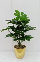 اشجار صناعية مركن سيراميك نجمة ارتفاع 75 سم العرض...