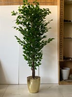 اشجار صناعية زينة ورق ليمون ارتفاع 190سم