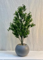 مركن اصيص شتلة ارتفاع 85 سم العرض 30 سم