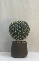 حوض بلاستيك كورة صنوبر الارتفاع 55 سم العرض 30 سم