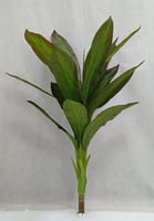 شجرة خام ارتفاع 115سم العرض 60سم