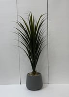 حوض بلاستيك العنكبوت ارتفاع 120 سم العرض 70 سم